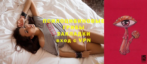 spice Алексин