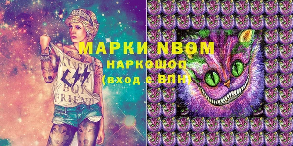 ECSTASY Алзамай
