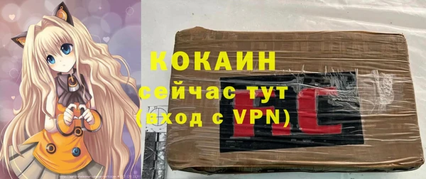 spice Алексин