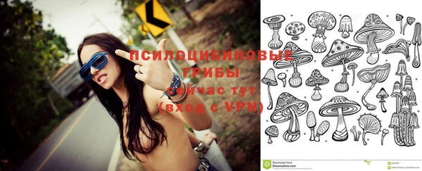 ECSTASY Алзамай