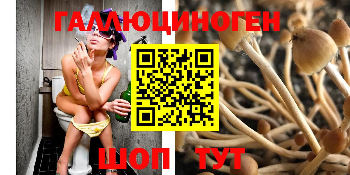 Шадринск  Галлюциногенные грибы Psilocybe  Галлюциногенные грибы мухоморы  Вход с VPN 